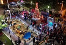 Alegría en Badiraguato por encendido del árbol y nacimiento navideño